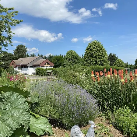 Camping De La Buge Rochefort-Montagne